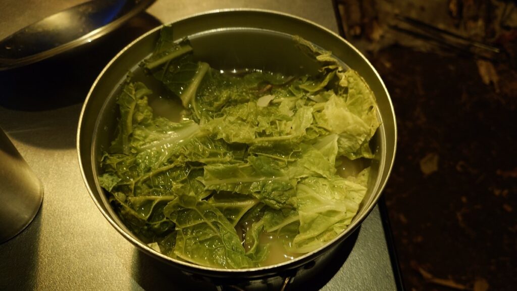 白菜だけで煮込んだ鍋