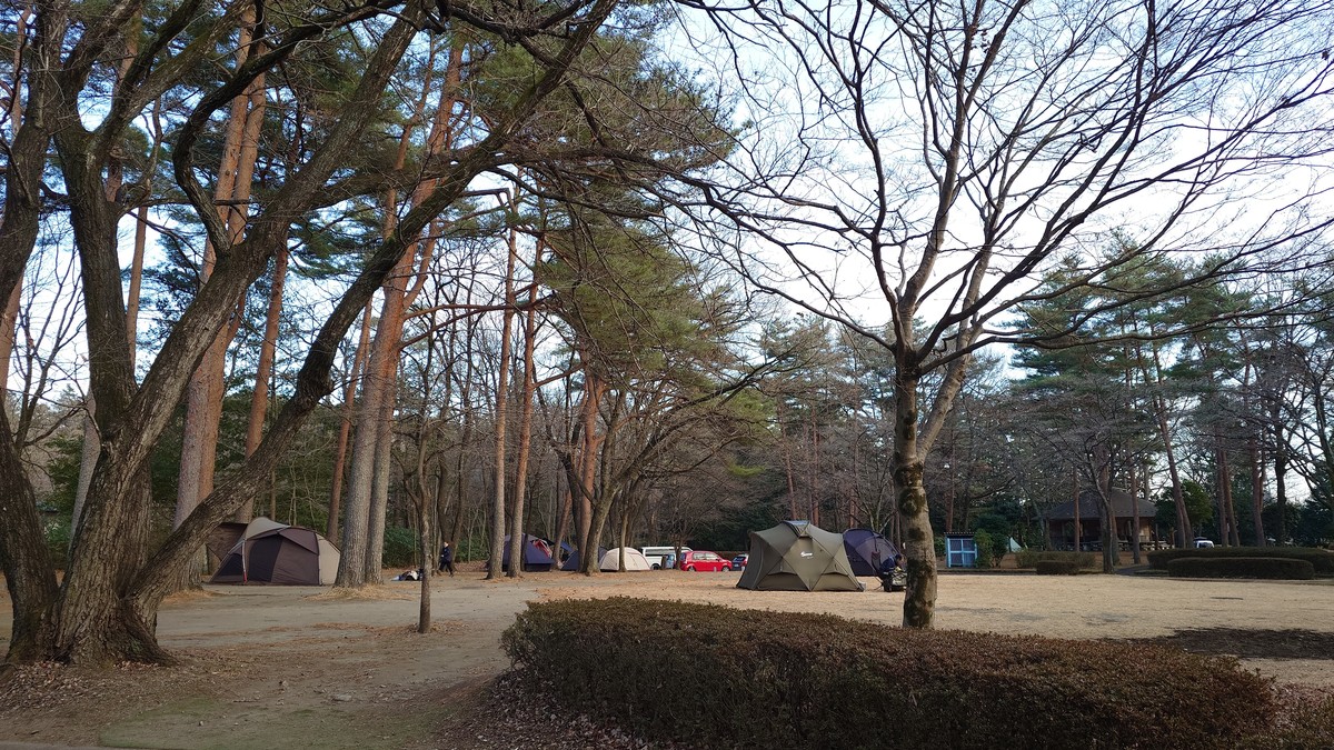 那須野が原公園オートキャンプ場フリーサイト