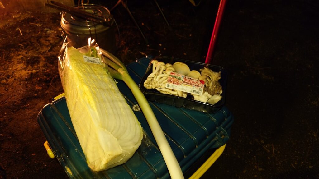 鍋用に購入した白菜とキノコとネギ