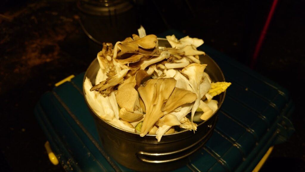 山盛りの鍋の具材