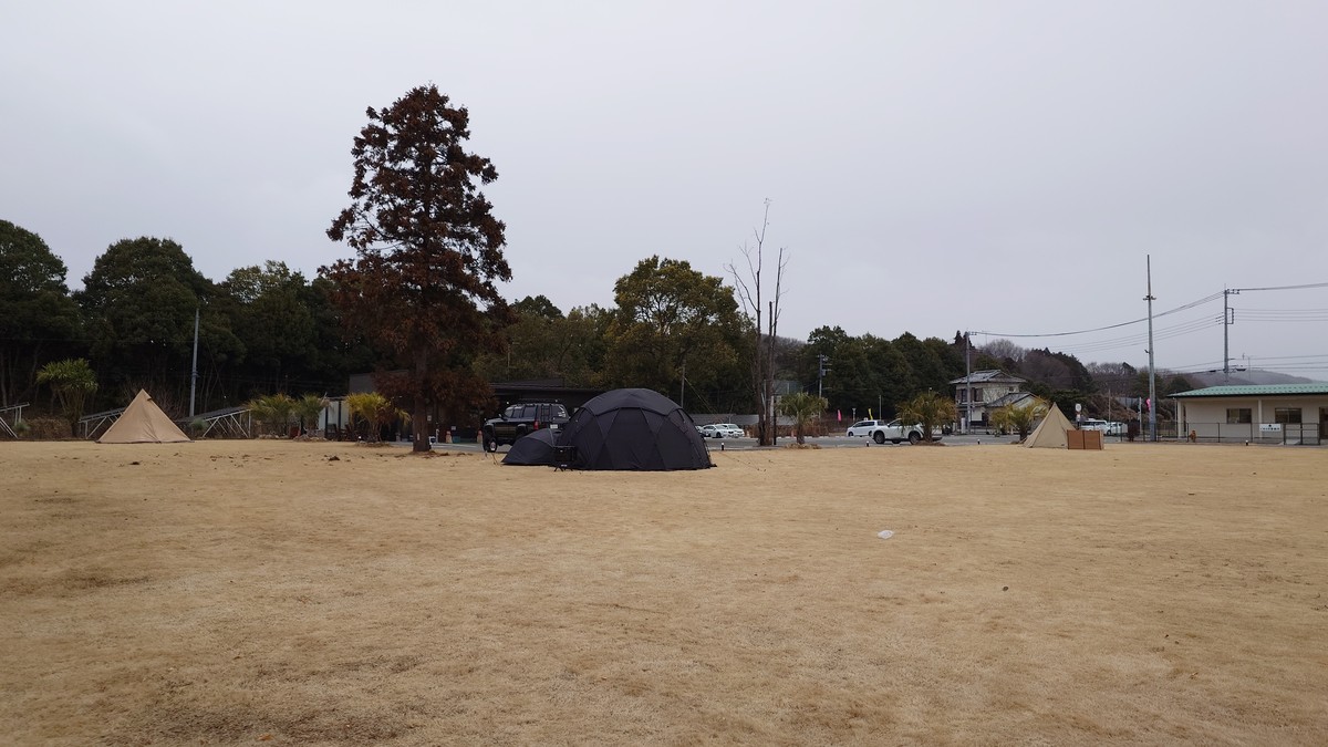 くすのきキャンプ場芝生サイト全景