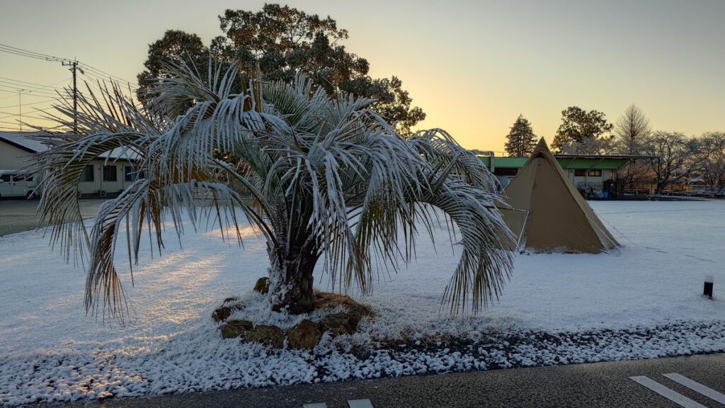 一面雪のくすのきキャンプ場