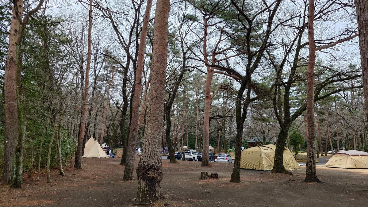 那須野が原公園オートキャンプ場フリーサイト