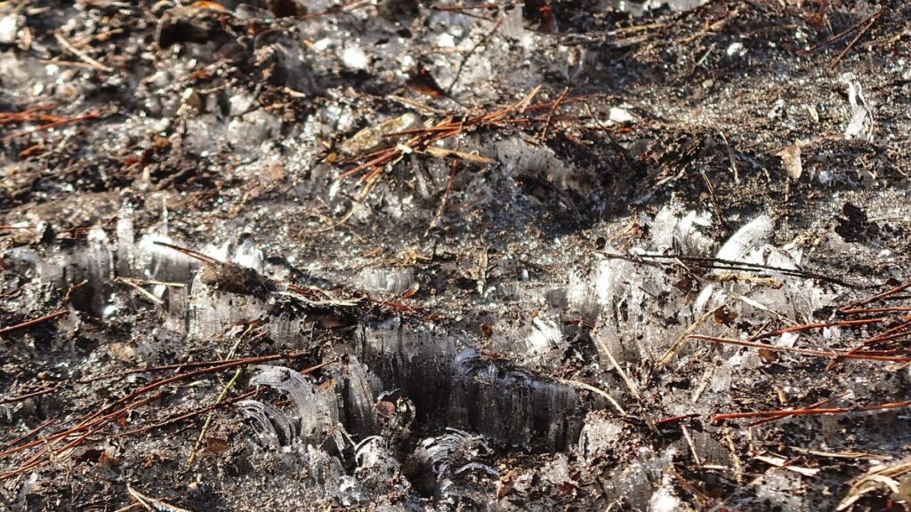 那須野が原公園オートキャンプ場霜柱