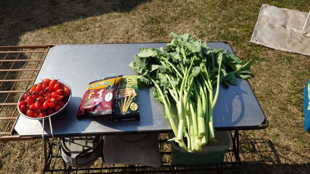 道の駅や板で仕入れたミニトマトとかき菜
