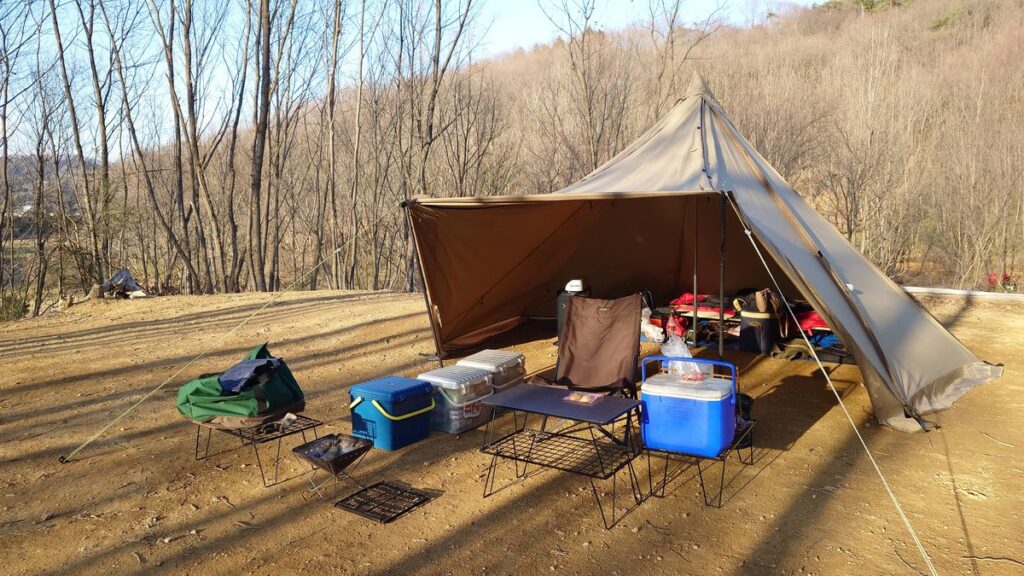 tassoTC七角形オープンスタイル