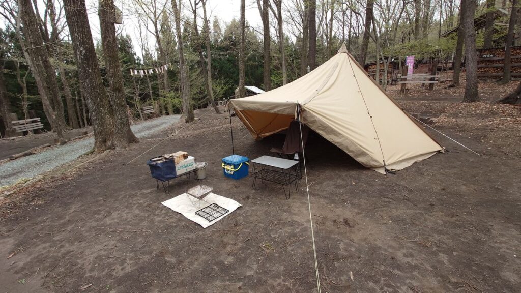 tassoTC七角形オープンスタイル