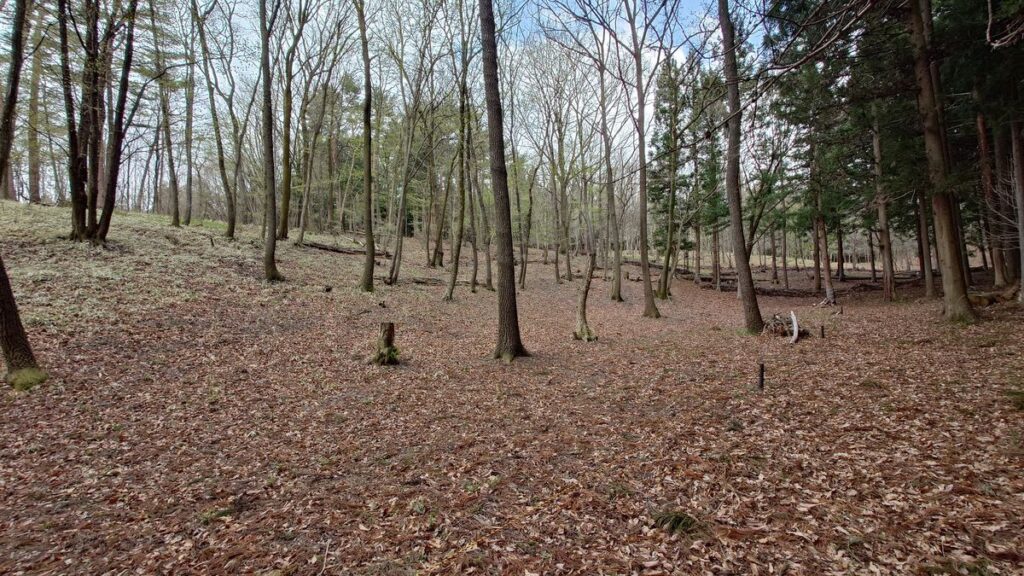 キャンプ･冒険仲間サバイバルサイト奥