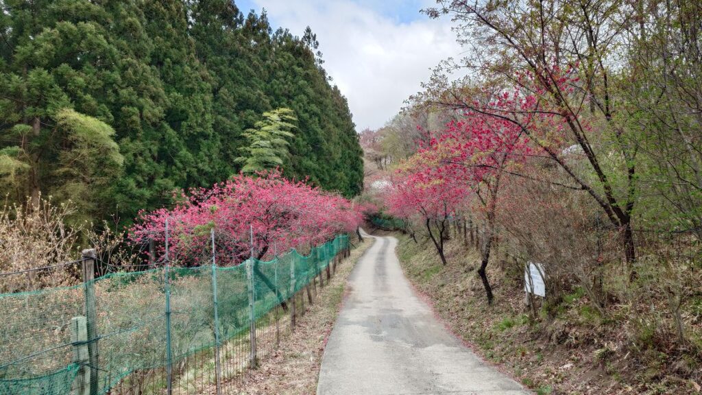 キャンプ・冒険仲間へ向かう道中