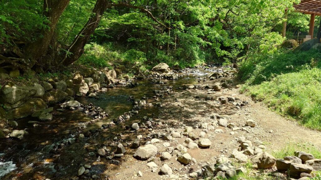 まなかの森キャンプ場の沢上流方向