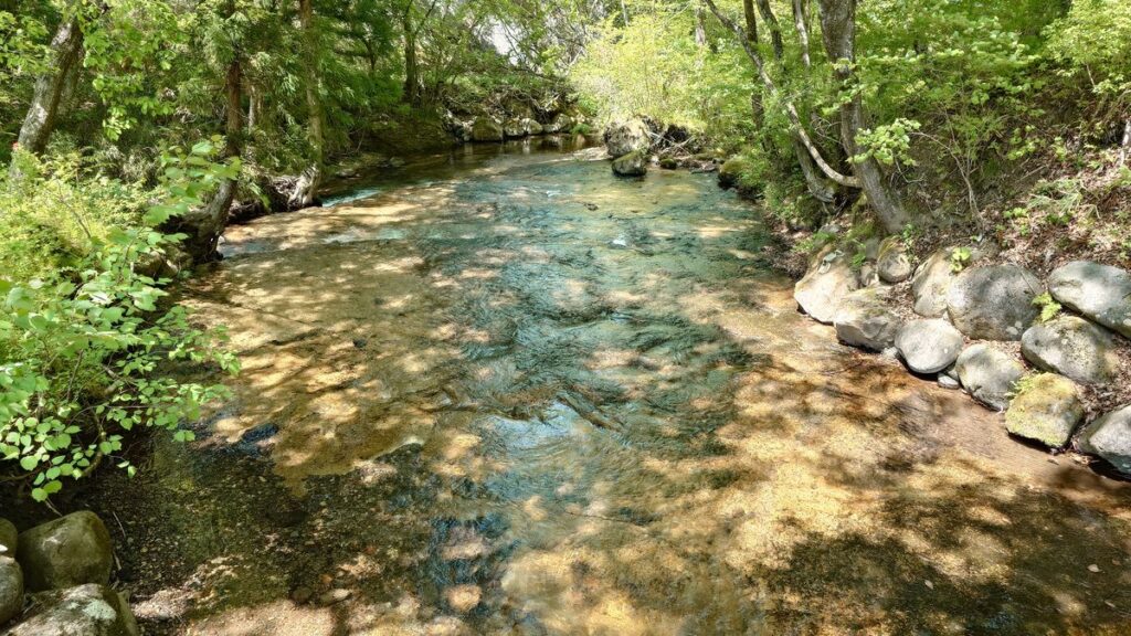 まなかの森キャンプ場内を流れる沢の下流方面
