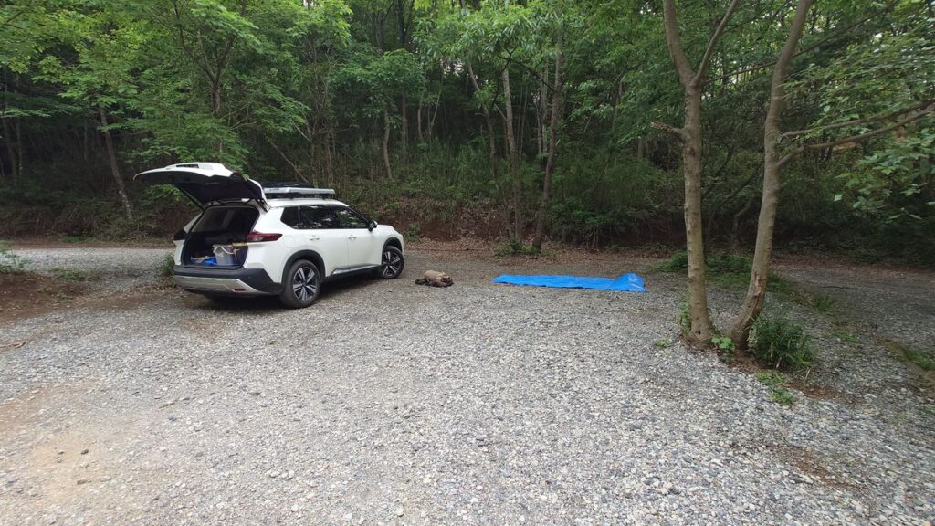 栃木の森キャンプ場エリアほぼ中央のテントサイト