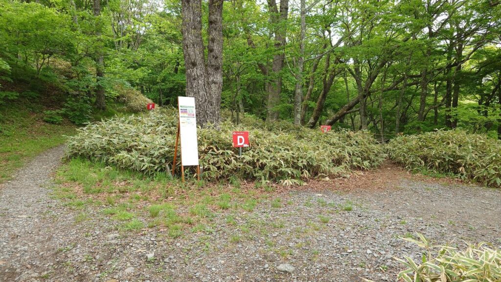 県立赤城公園キャンプ場Dサイト