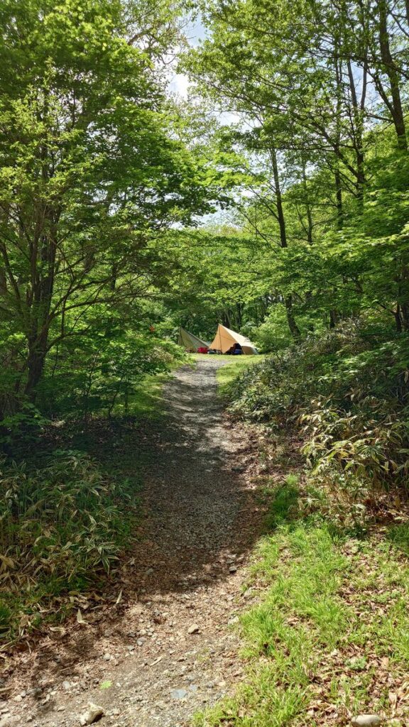 県立赤城公園キャンプ場DサイトからGサイトを臨む