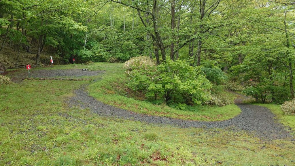県立赤城公園キャンプ場Gサイトからみたキャンプ場内の通路
