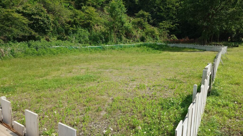 グリーンパークふきわれドッグラン内部