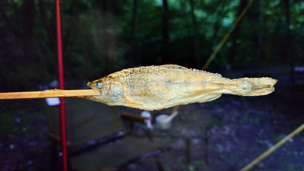 渓流釣り場ようらくヤマメの塩焼き