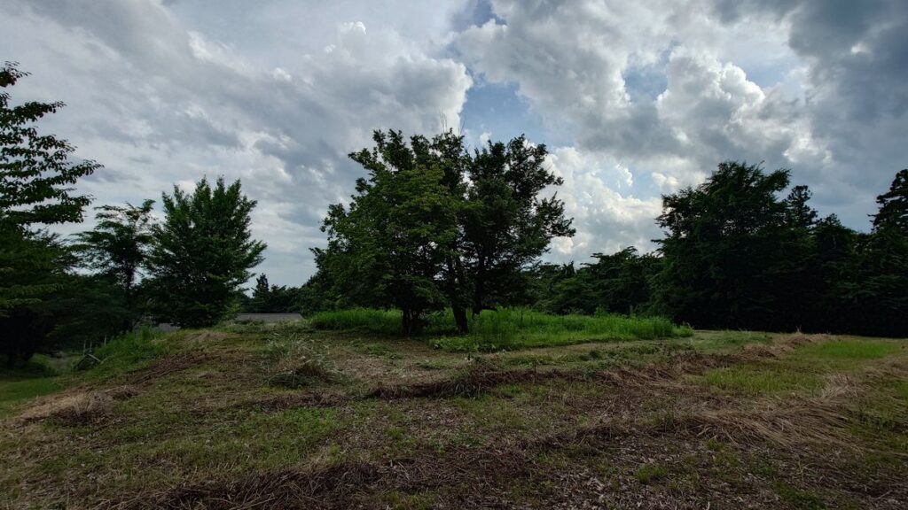 オートキャンプ場ナイトビューあかぎ最上段エリア作業後