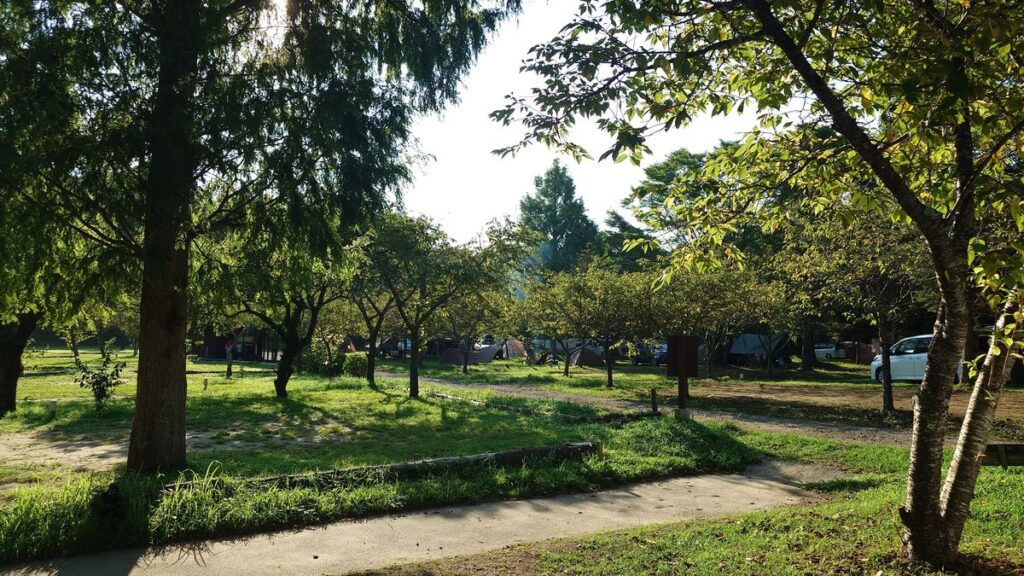 RECAMP勝浦こかげCAMPサイト