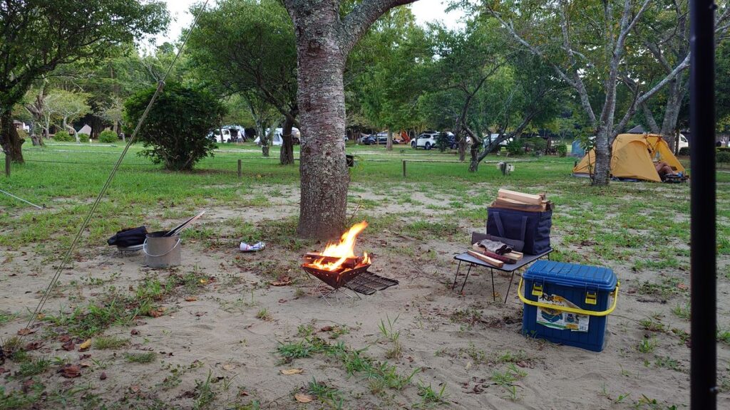 焚き火スタート