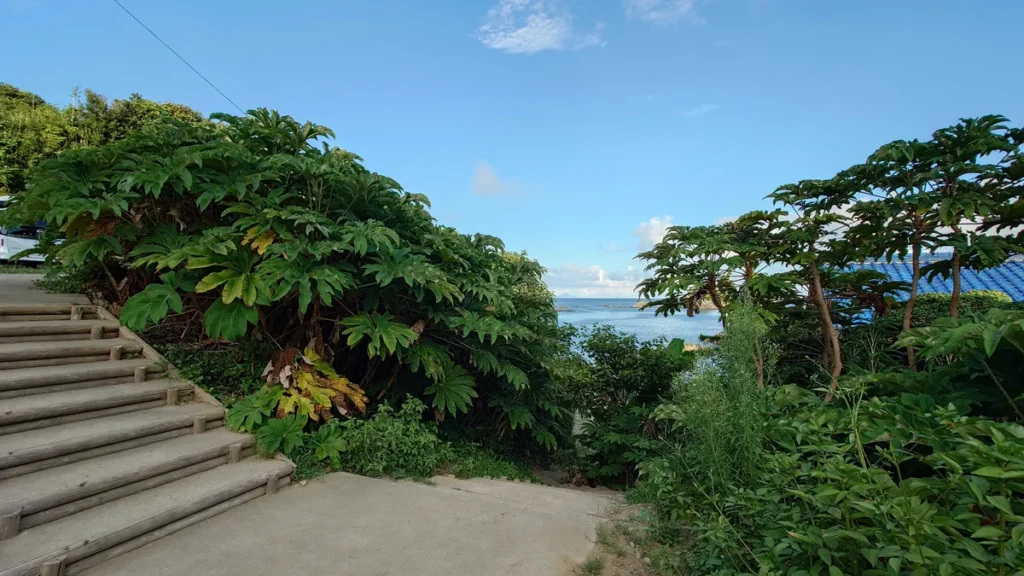 AlicaBeach南伊豆プライベートビーチ入り口