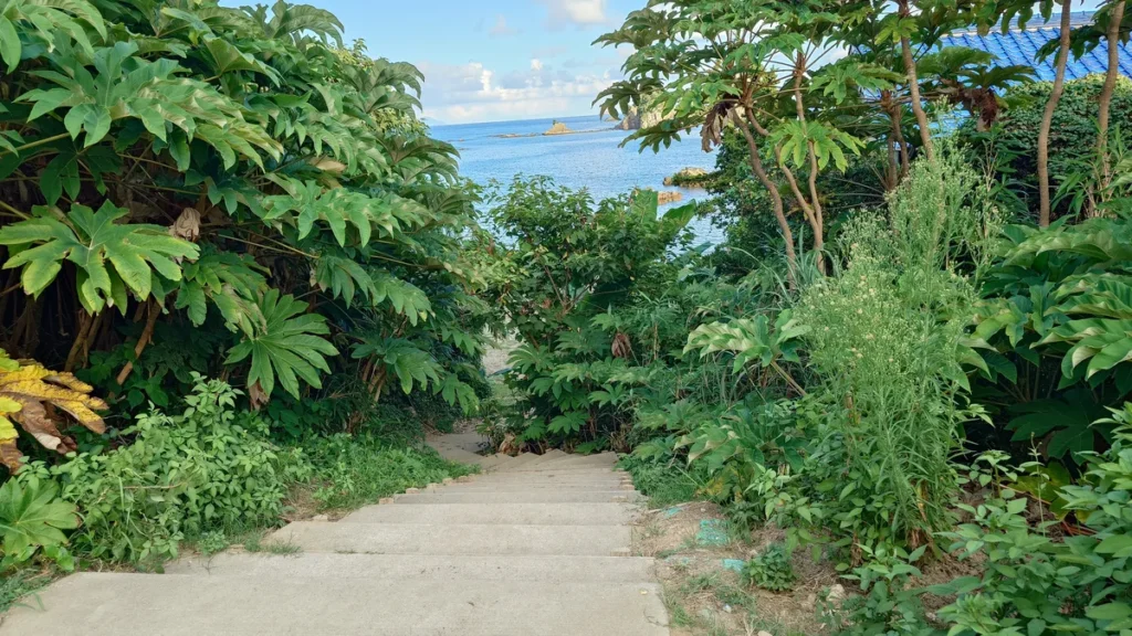 AlicaBeach南伊豆プライベートビーチへ続く階段