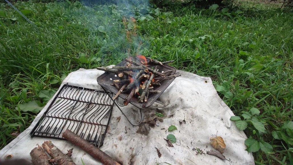 尾瀬金井沢キャンプ場で小枝を集めた薪