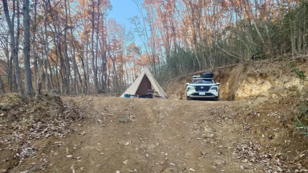 栃木の森新エリアへの切り替えしポイント