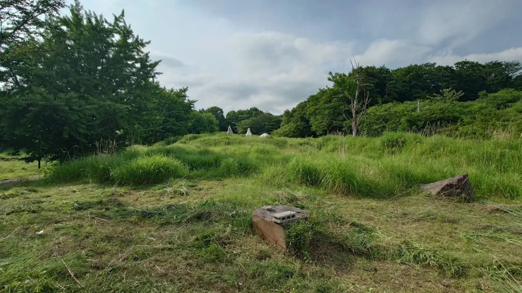 ナイトビューあかぎ草の中から出てきた大岩