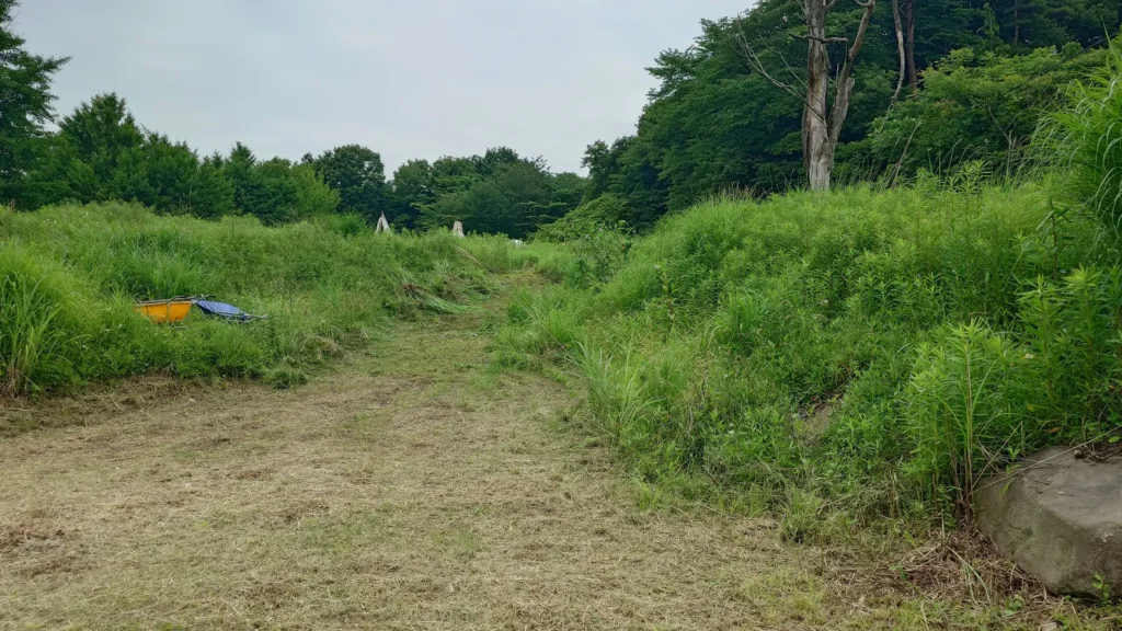 上のサイトへと続く道の草刈