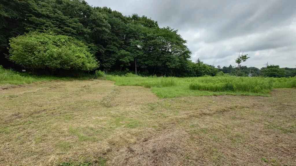 草刈も終わりが見えたかに見えた２層目