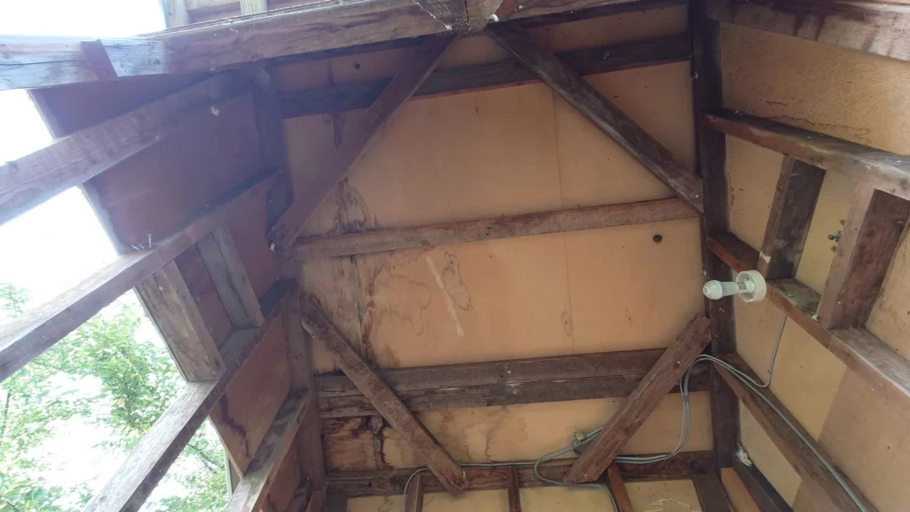 ナイトビューあかぎトイレ改装屋根裏