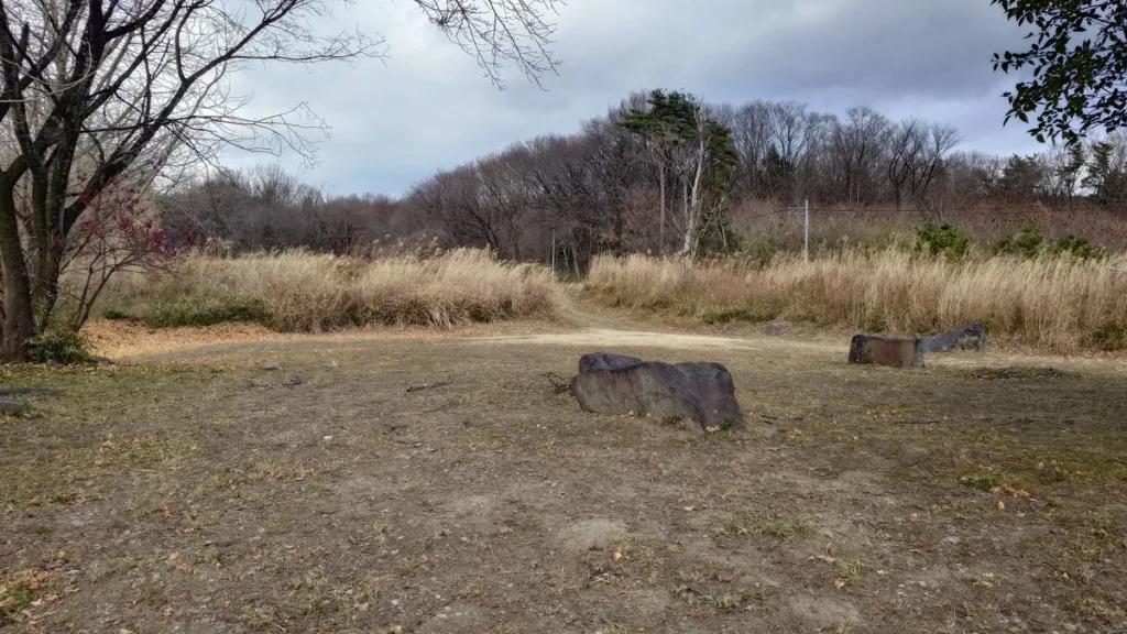 ナイトビューあかぎ冬の夜景サイト山頂方面