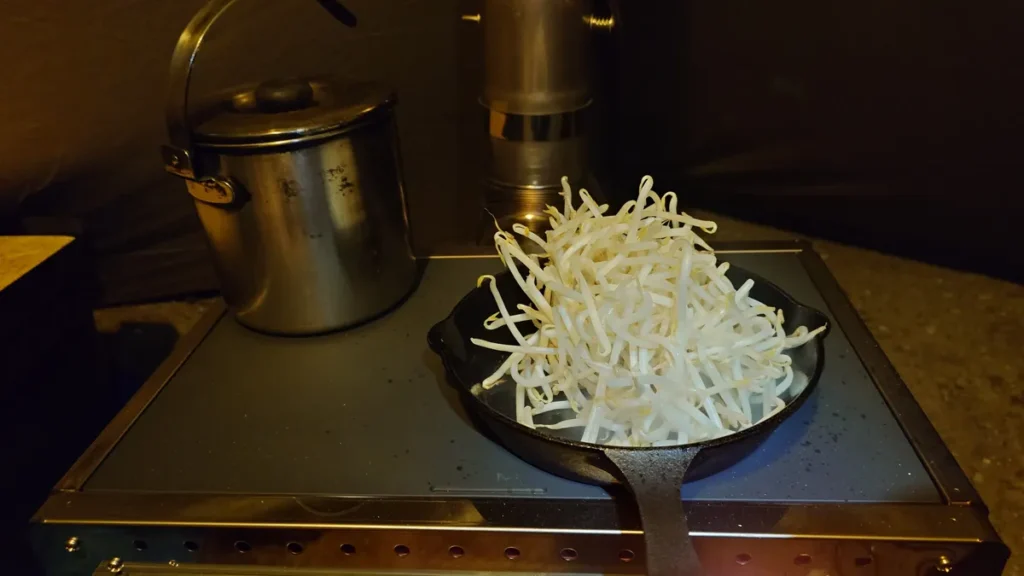 スキレットでもやし炒め