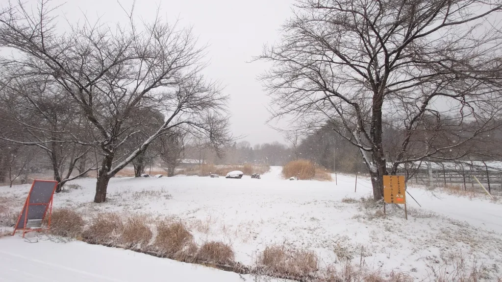 ナイトビューあかぎ雪に覆われた夜景サイト