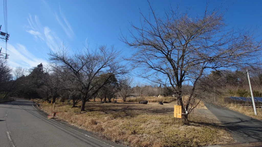 オートキャンプ場ナイトビューあかぎ街道沿いの桜