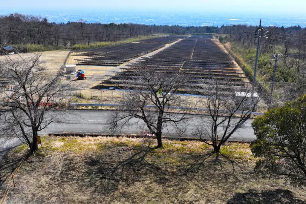 夜景サイト前面の桜俯瞰
