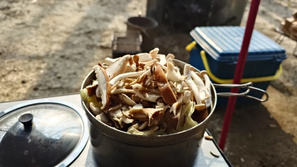 鍋からあふれる具材