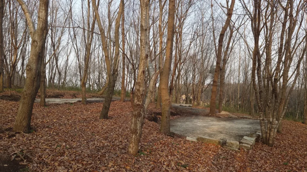 フォレストパークおいらの森東面のサイト