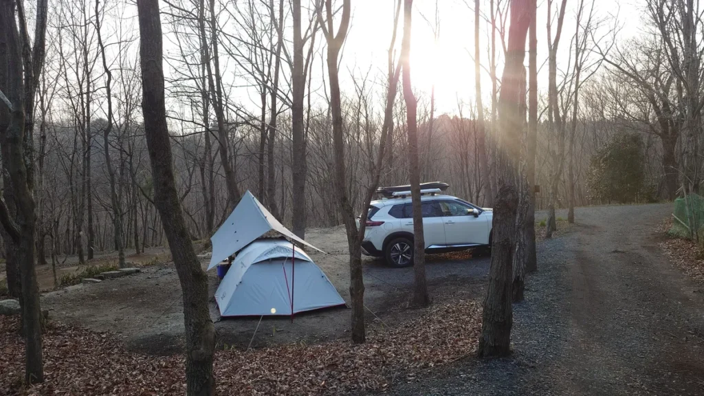 西日の天とサイト