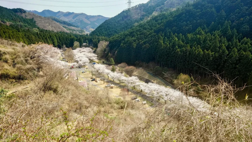 松田ダムからの展望