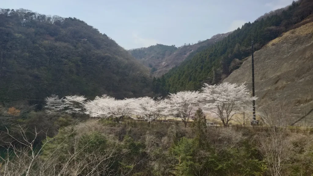 松田川ダムダム湖の展望台から見たRECAMP足利のレイクサイドエリア