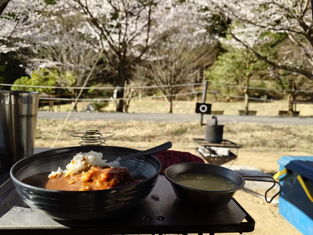 桜を見ながら朝カレー