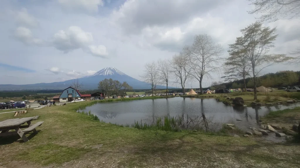 ふもとっぱら牛舎と富士山