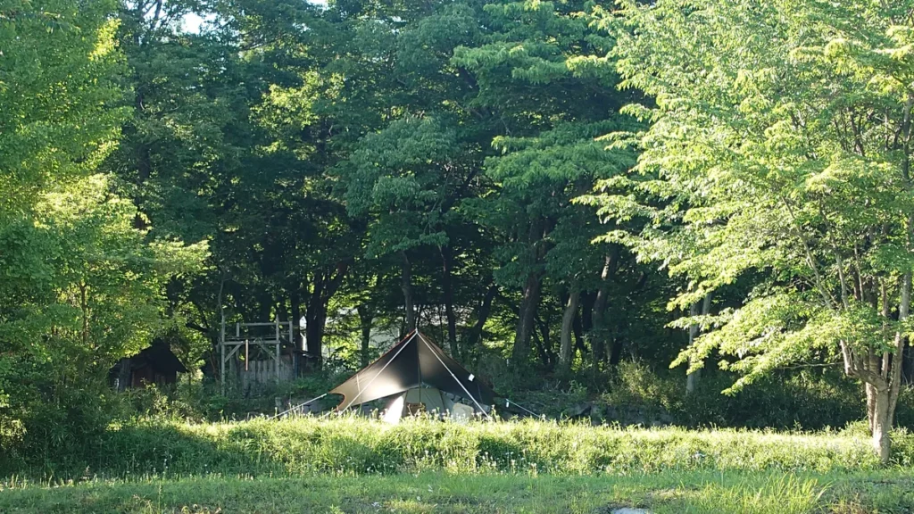 オートキャンプ場ナイトビューあかぎ林間サイト