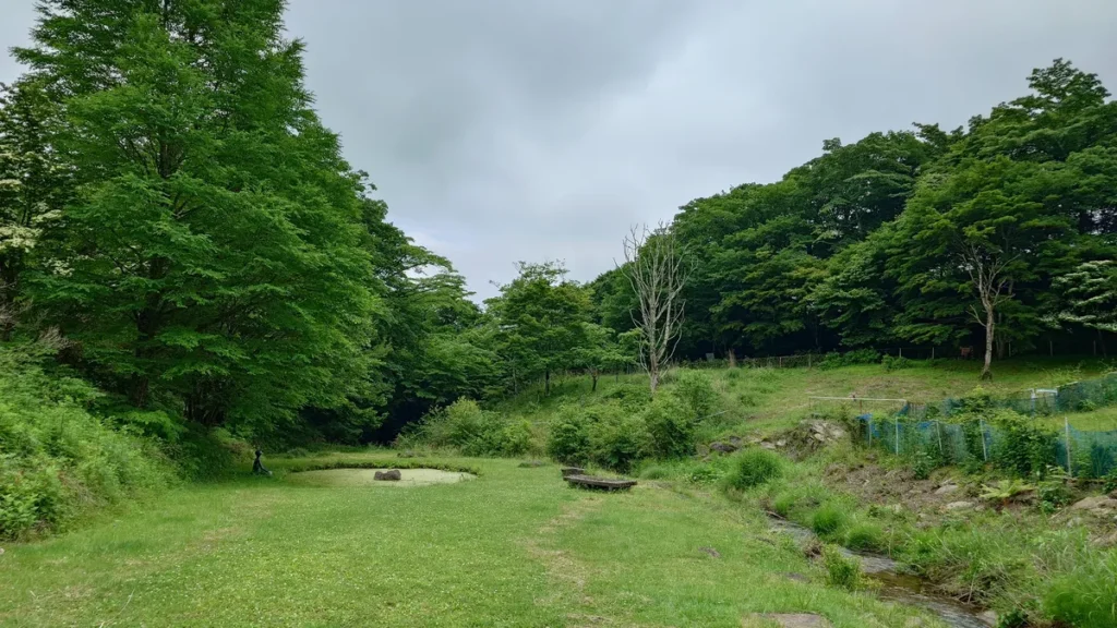 神津牧場カッパ池