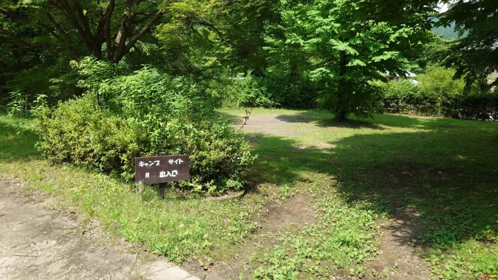 峠の湯スパオートキャンプ場オートサイトBの入口付近