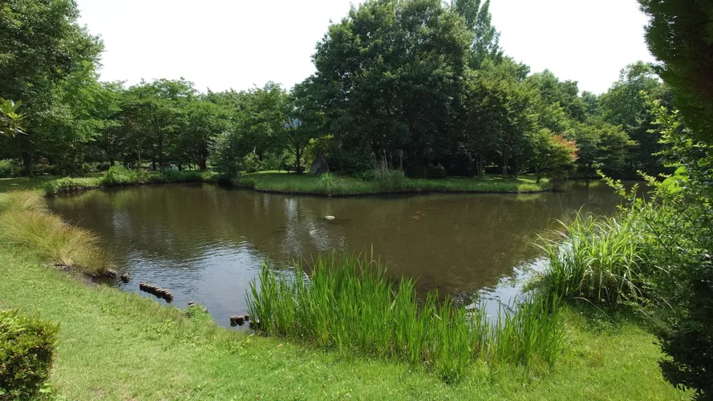 碓氷峠の森公園の池