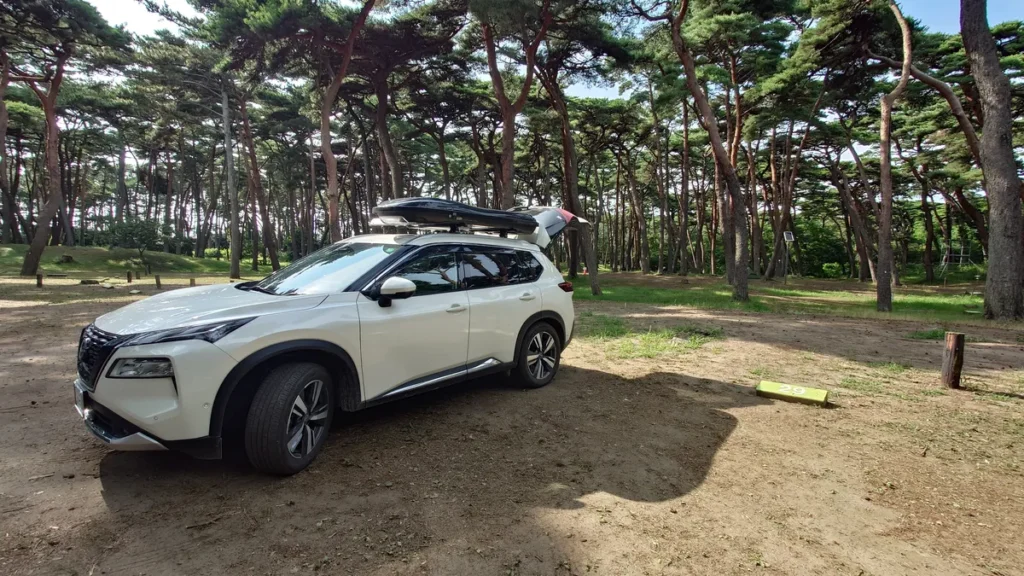 大洗キャンプ場グリーンエリア駐車スペース