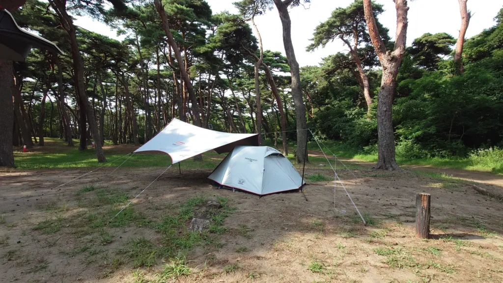 大洗キャンプ場グリーンエイリアコールマンダークルームテクノロジータープ&テント